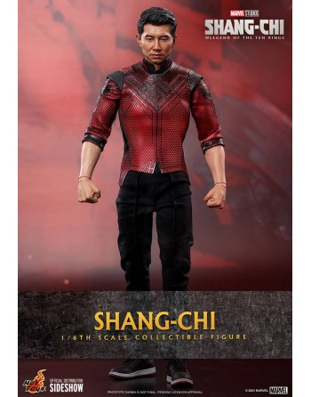 Hot Toys 1/6 Shang-Chi und...