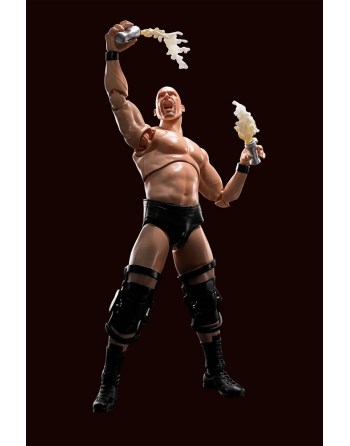 Bandai S.H.Figuarts WWE...